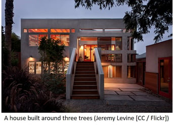 House with electric light in the evening.