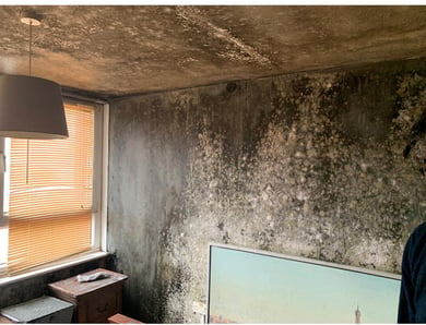 Mouldy walls in a council flat in South Norwood, London
