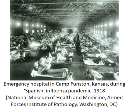 Emergency hospital in Camp Funston, Kansas, during ‘Spanish’ influenza pandemic, 1918 (National Museum of Health and Medicine, Armed Forces Institute of Pathology, Washington, DC)