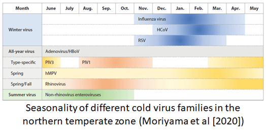 Seasonality of different cold virus families in the northern temperate zone (Moriyama et al [2020])